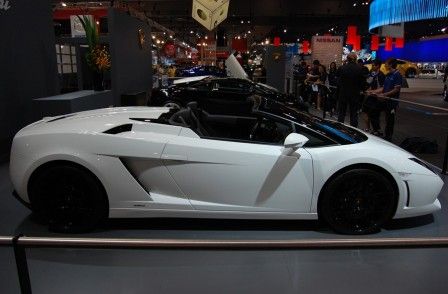 Gallardo 2